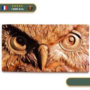 Art Mural Viking Regard du Hibou