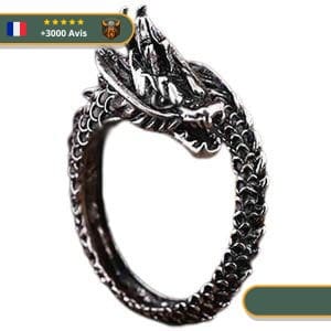 Bague Viking Ouroboros