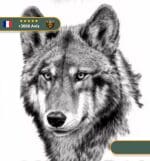 Tatouage Temporaire Viking Loup Scandinave aux Yeux Claires