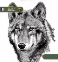Tatouage Temporaire Viking Loup Scandinave aux Yeux Claires