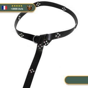 Ceinture Viking Style Médiéval noir