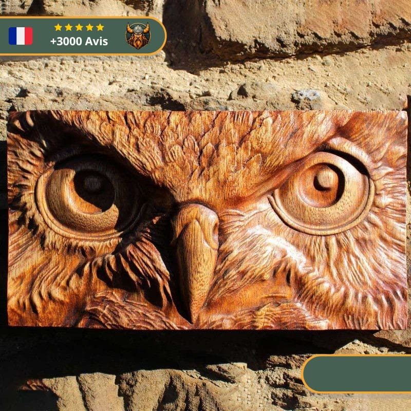 Art Mural Viking Regard du Hibou – Image 3