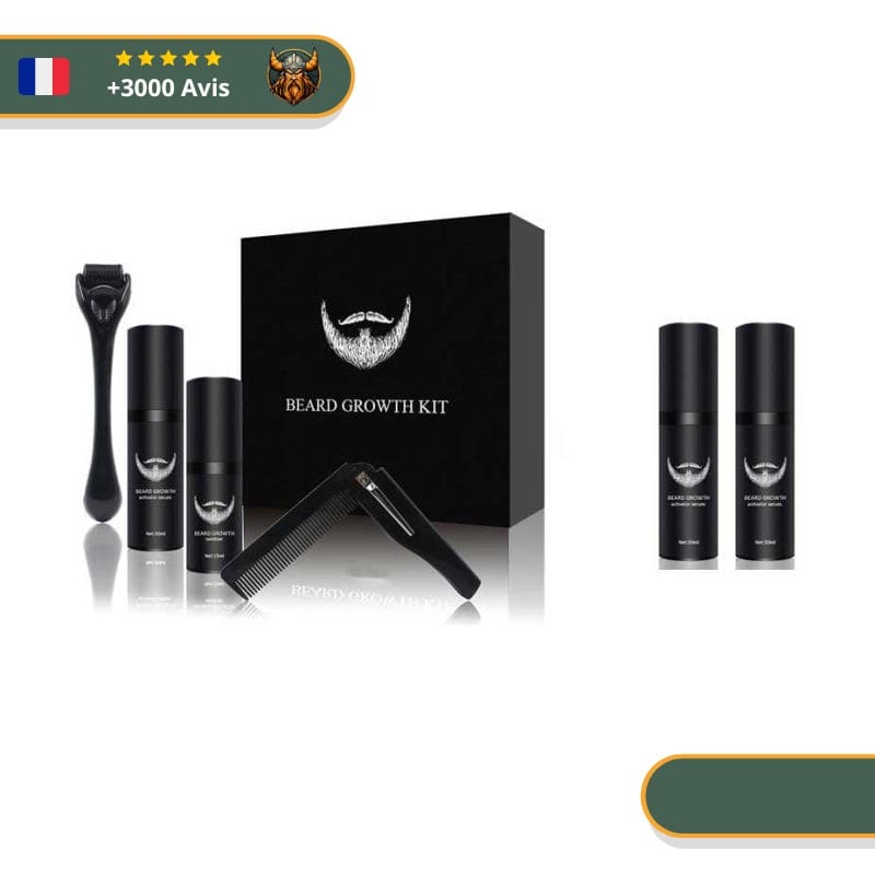 Kit de Barbe Viking Pro 2 Recharges