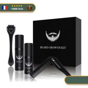 Kit de Barbe Viking Pro