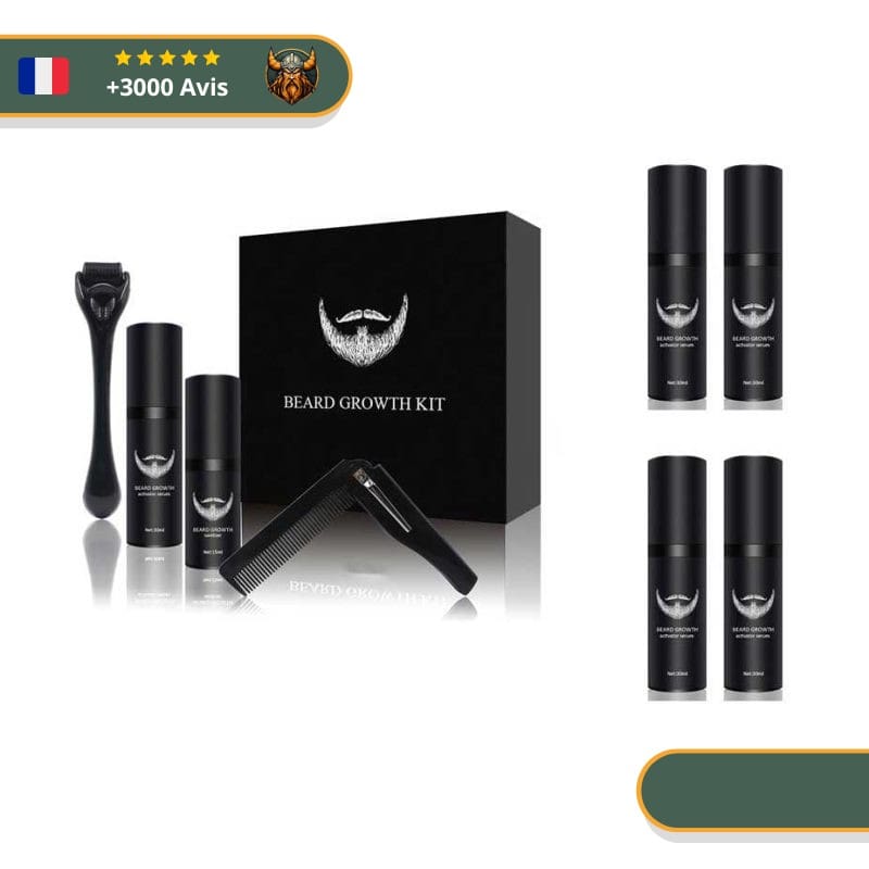 Kit de Barbe Viking Pro 4 Recharges