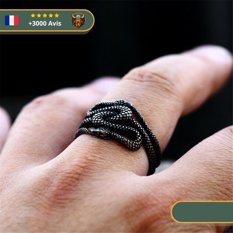 Bague Viking Créature Serpent Intrigante – Image 3