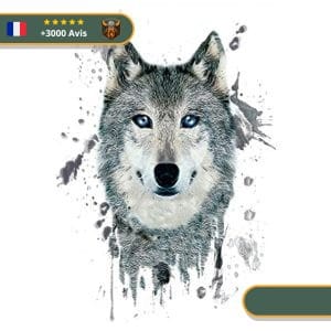Tatouage Temporaire Viking<br> Loup Scandinave aux Yeux Bleus