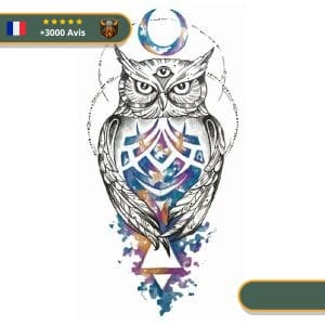 Tatouage Temporaire Viking<br> Sagesse de l'Hibou Scandinave