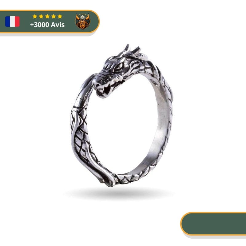 Bague Serpent Jormungand | Argent – Image 2