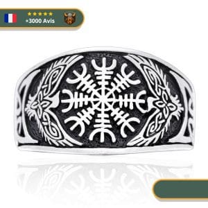 Bague Hugin & Munin | Couleur Argent