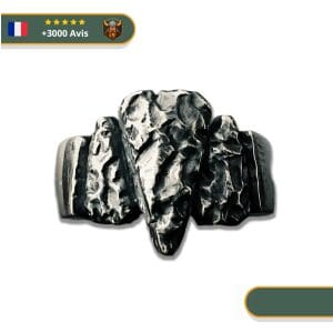 Bague Viking <br>Brute</br> Viking Shop