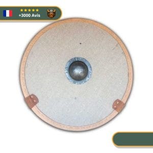Bouclier Viking Historique
