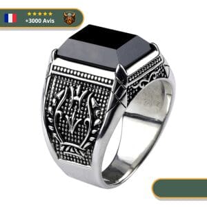 Bague viking <br> Chevalière du Roi</br> Viking Shop