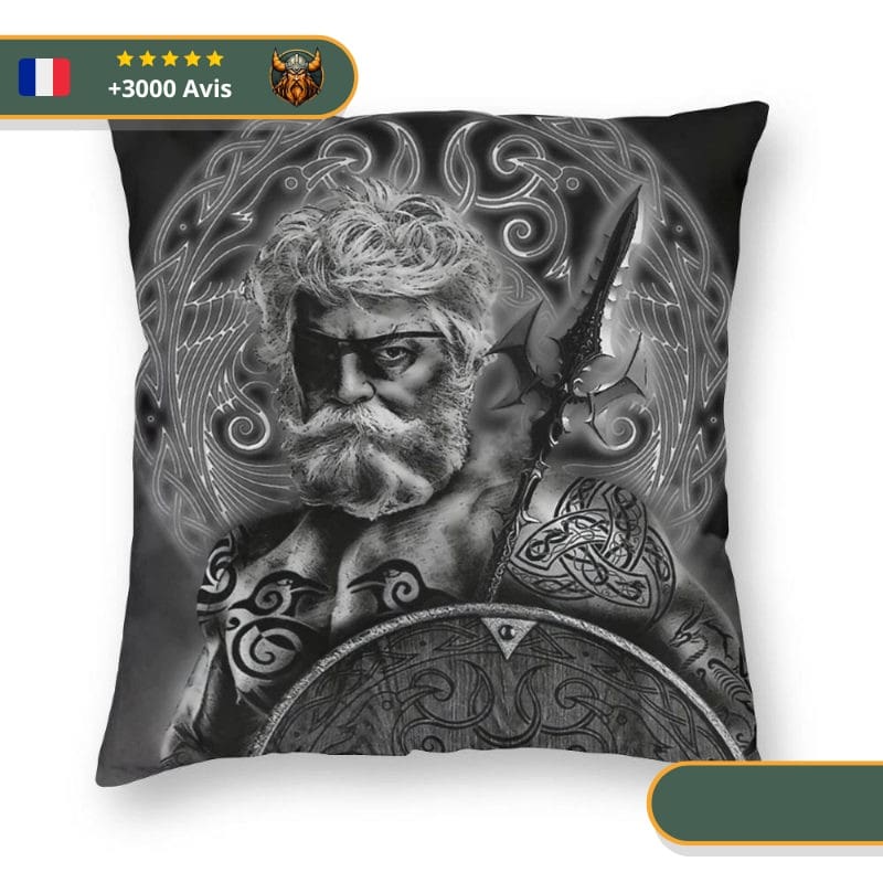 coussin-viking-odin-le-pere