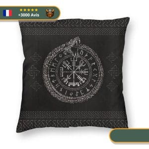 coussin viking origines du monde