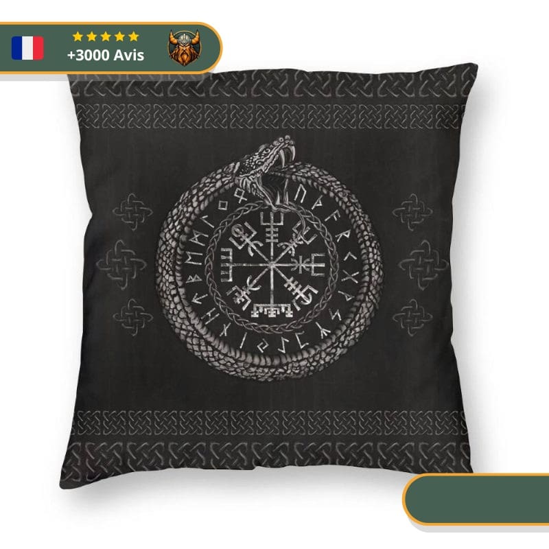 coussin viking origines du monde