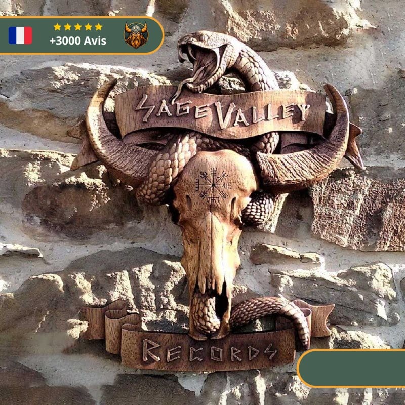 Art Mural Viking Vallée de la Mort – Image 2