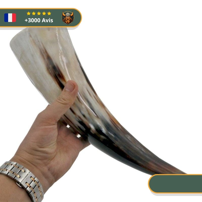 Corne à Boire Viking Clair Avec Socle – Image 5