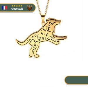 Collier Viking Loup Fenrir