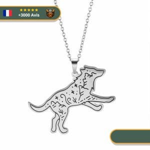 Collier Viking <br>Loup Fenrir</br> Viking Shop