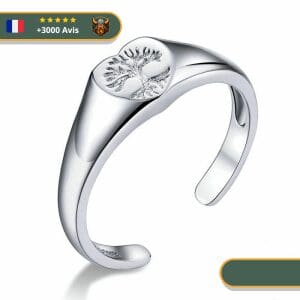 Bague Cœur Et Arbre De Vie Symbolique En Argent 925 Délicate
