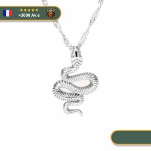 Collier Viking <br>Serpent Jormungand</br> Viking Shop