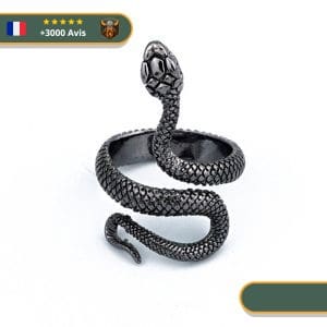 Bague Viking Serpent de Midgard Viking Shop