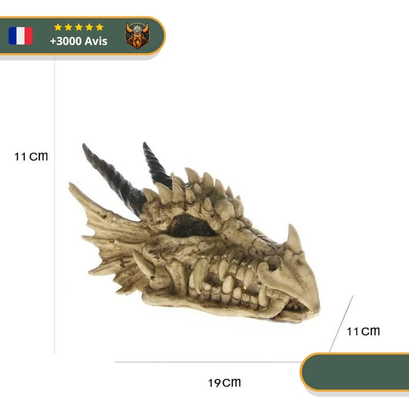 Statue Viking Crâne de Dragon – Image 3